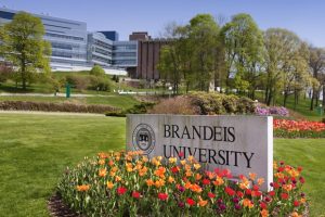 universidad de brandeis