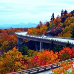 universidades de virginia