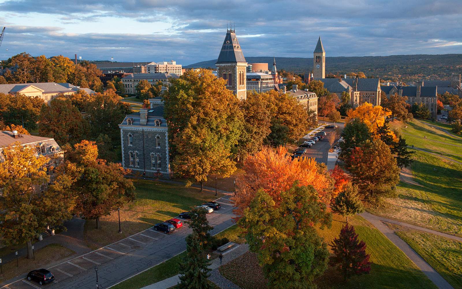 universidad de cornell