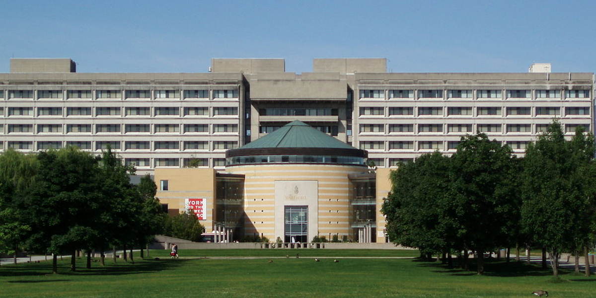 universidad de york