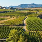 universidades la rioja